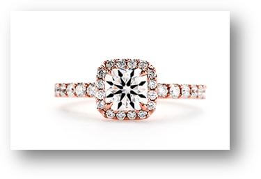 Michelle Brian Gavin